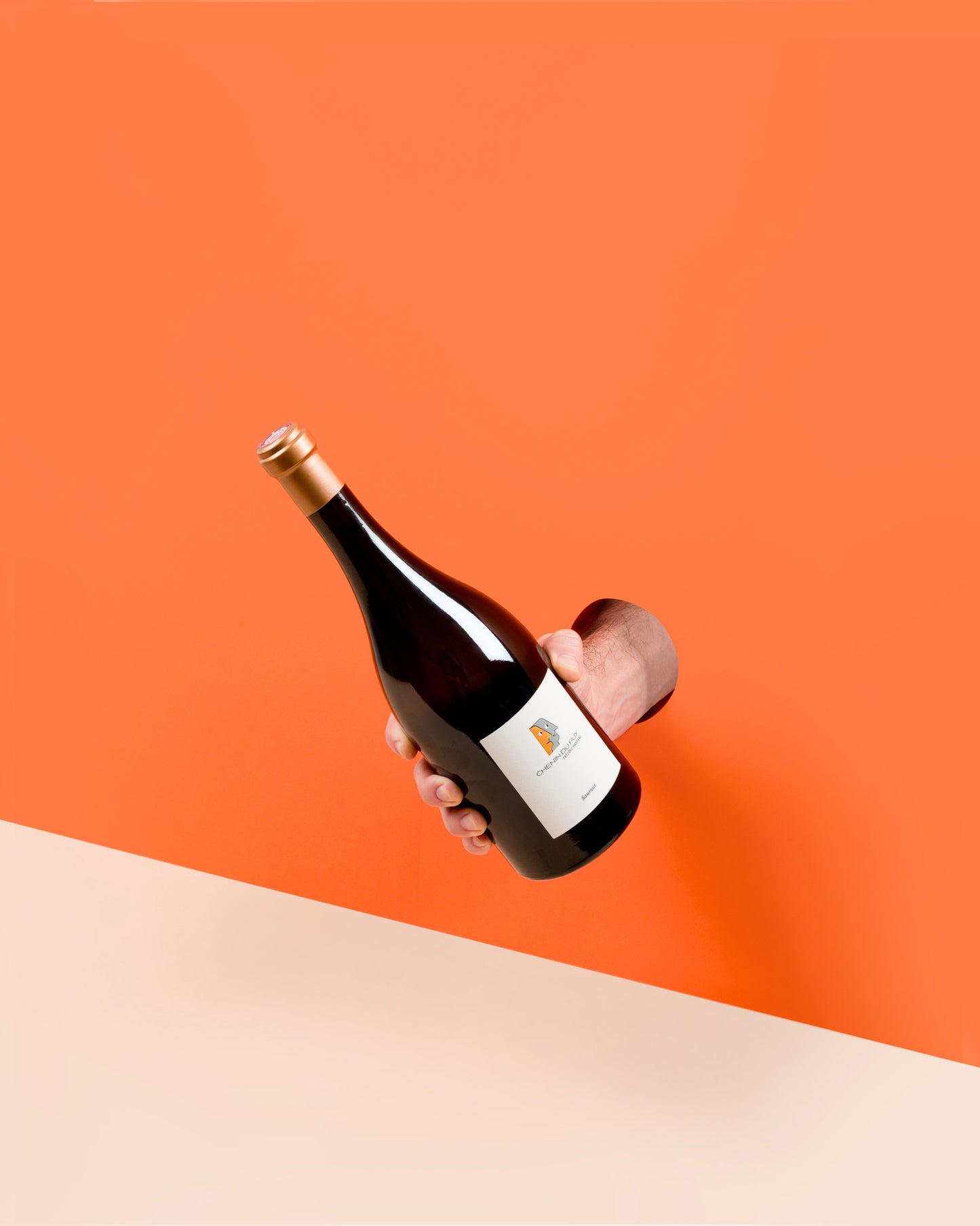 Chenin du Puy